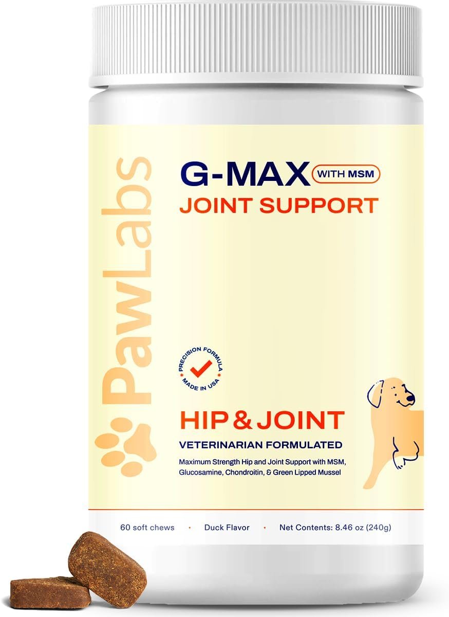PAWLABS G-Max Joint Support for Dogs – Maximum Strength Hip & Joint Supplement with Glucosamine, Chondroitin, MSM, Green-Lipped Mussel – Relieves Arthritis Pain & Hip Dysplasia – Duck Flavor, 60 Chews