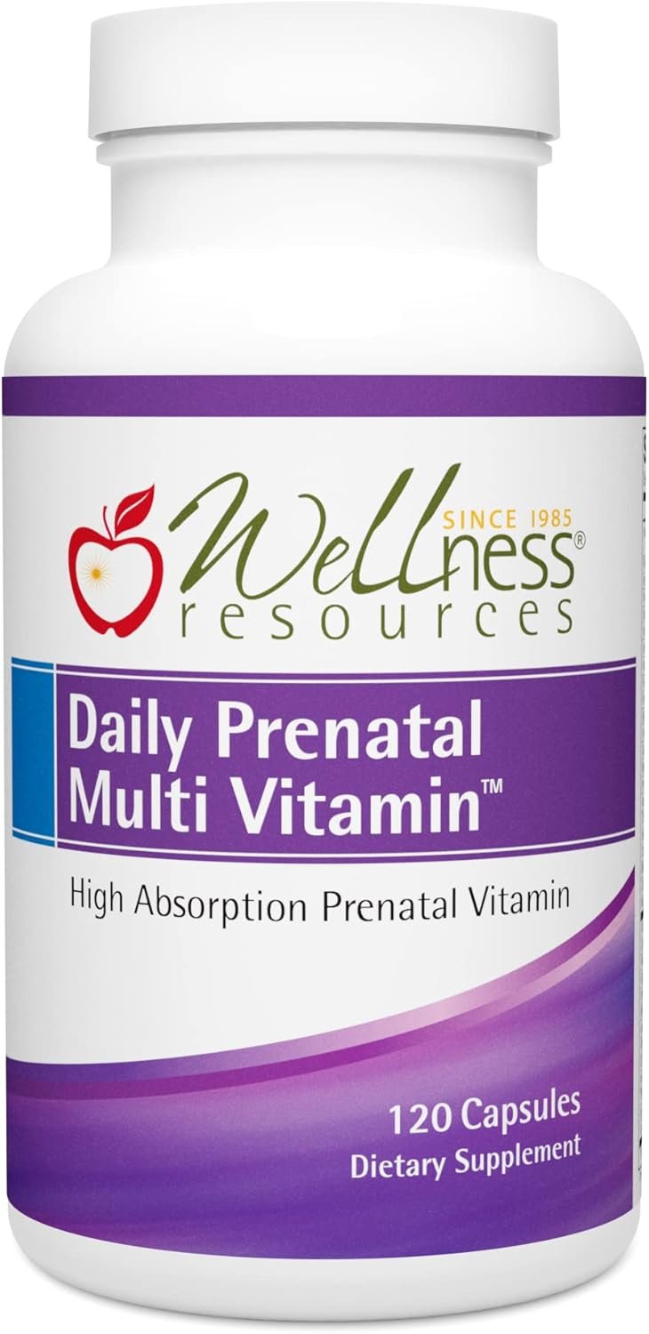 Wellness Resources Daily Prenatal Multi Vitamin – Methylated Folate Zinc Iron Bisglycinate Choline & Key Nutrients – Natural Prenatal Postnatal Postpartum Vitamins for Women – 120 Caps