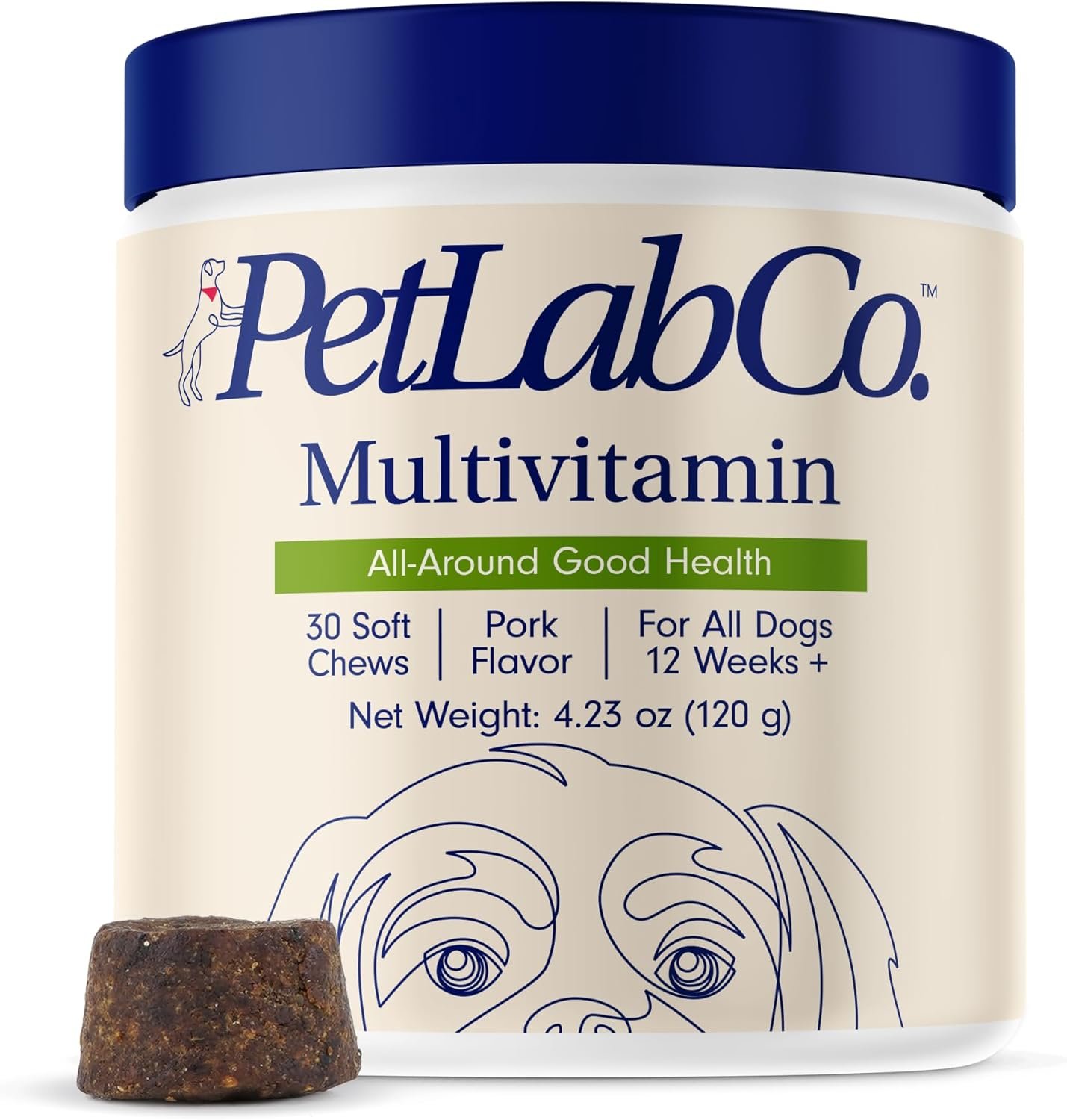 PetLab Co. 22 in 1 Dog Multivitamin – Support Dog’s Immune Response, Skin, Coat, Joints & Overall Health – Vitamins A, E, D, B12, Minerals, Antioxidants – Chewable Pork Flavor – Packaging May Vary
