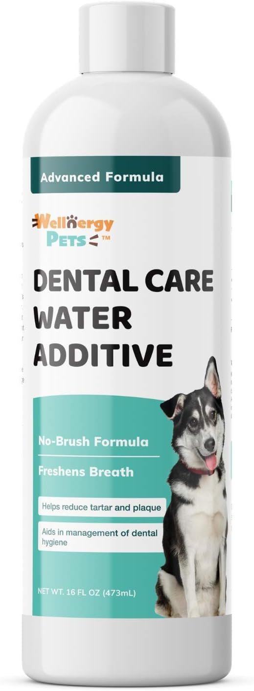 Dental Care Water Additive for Dogs & Cats – No Brush Formula, Oral Hygiene & Fresh Breath, Reduce Plaque and Tartar. 16 FL OZ